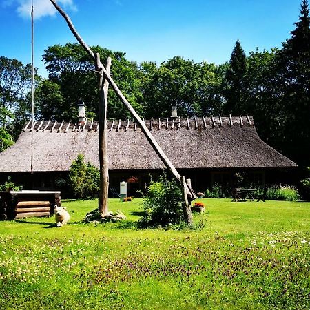 Kotka Farm Ξενοδοχείο Saarekula Εξωτερικό φωτογραφία