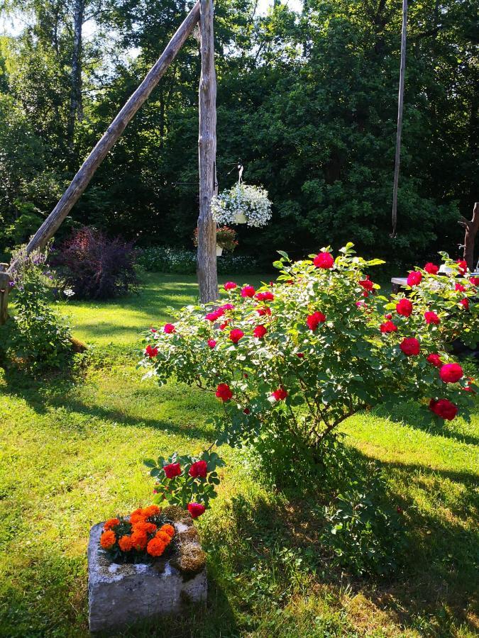 Kotka Farm Ξενοδοχείο Saarekula Εξωτερικό φωτογραφία
