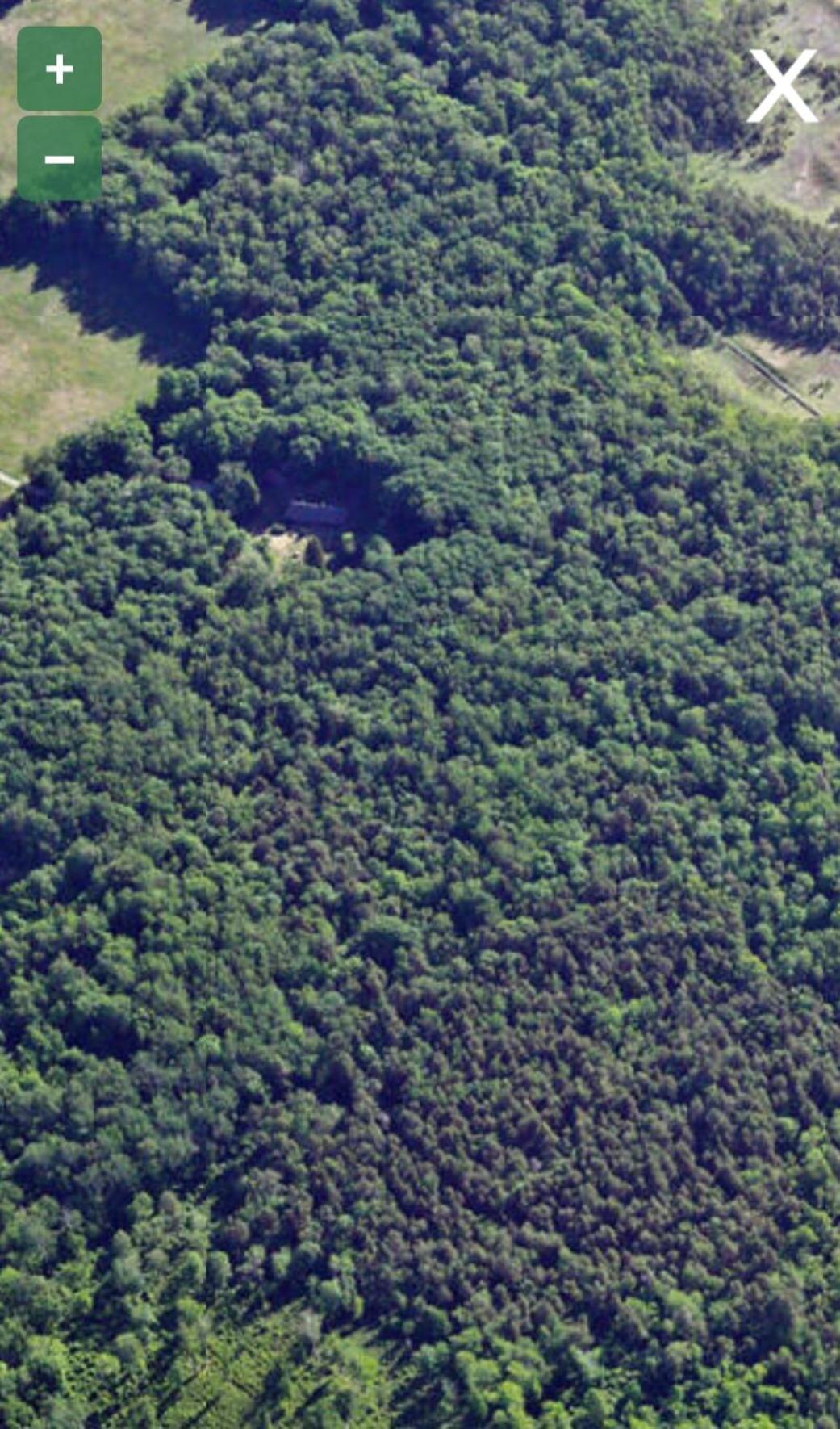 Kotka Farm Ξενοδοχείο Saarekula Εξωτερικό φωτογραφία