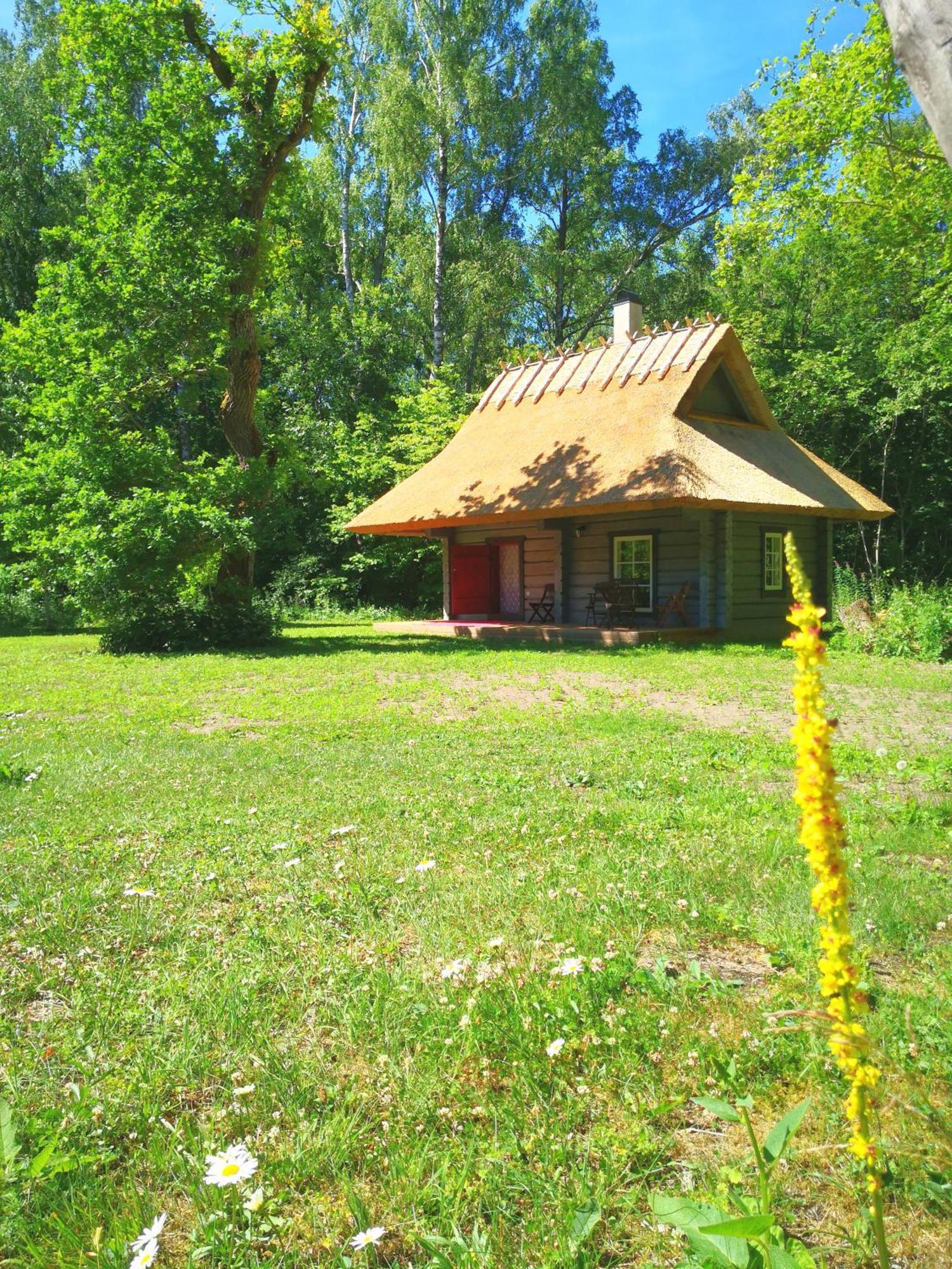 Kotka Farm Ξενοδοχείο Saarekula Εξωτερικό φωτογραφία