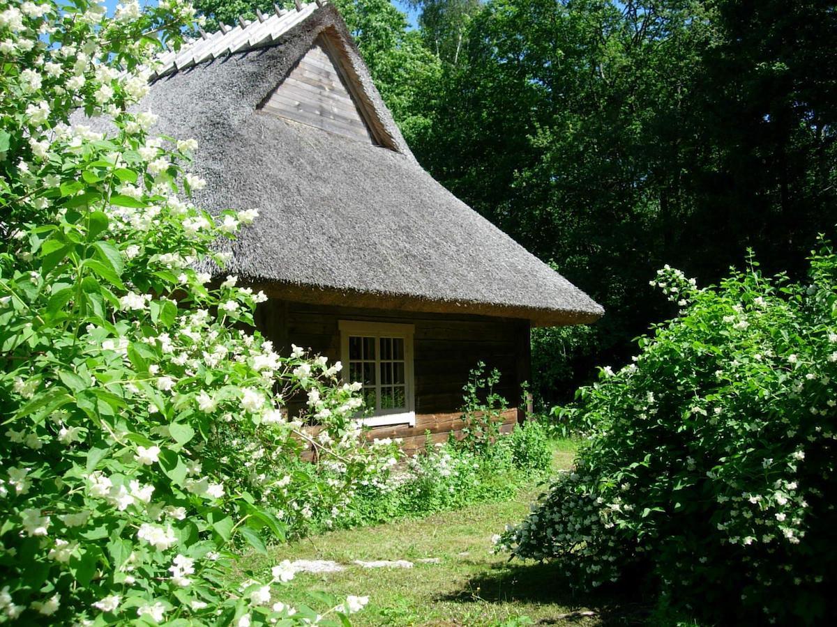 Kotka Farm Ξενοδοχείο Saarekula Εξωτερικό φωτογραφία