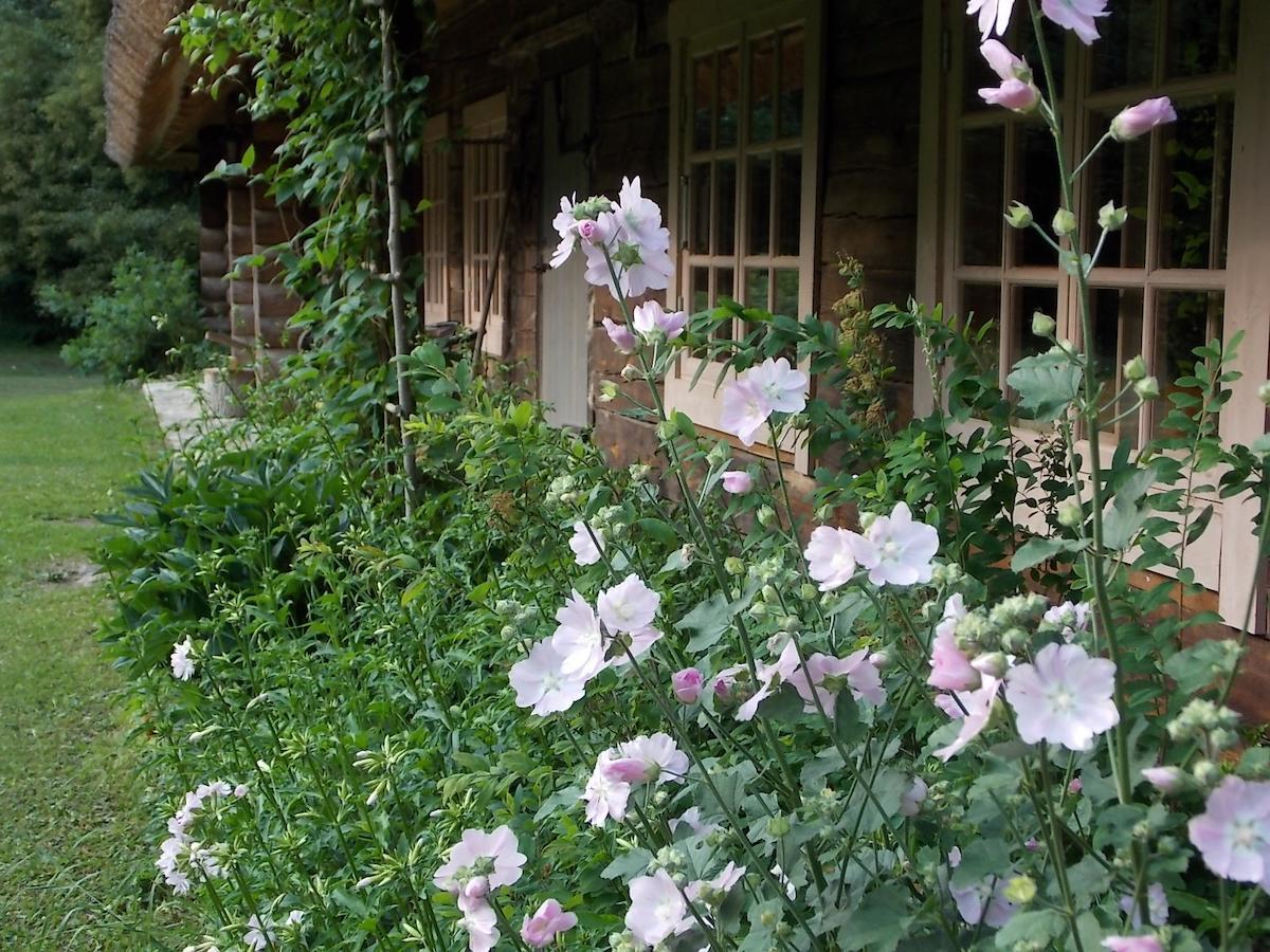 Kotka Farm Ξενοδοχείο Saarekula Εξωτερικό φωτογραφία