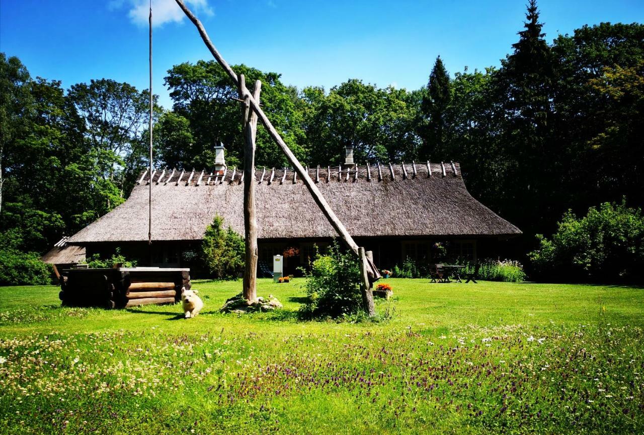 Kotka Farm Ξενοδοχείο Saarekula Εξωτερικό φωτογραφία